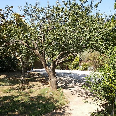 Rastoni Guest House Skopelos Экстерьер фото