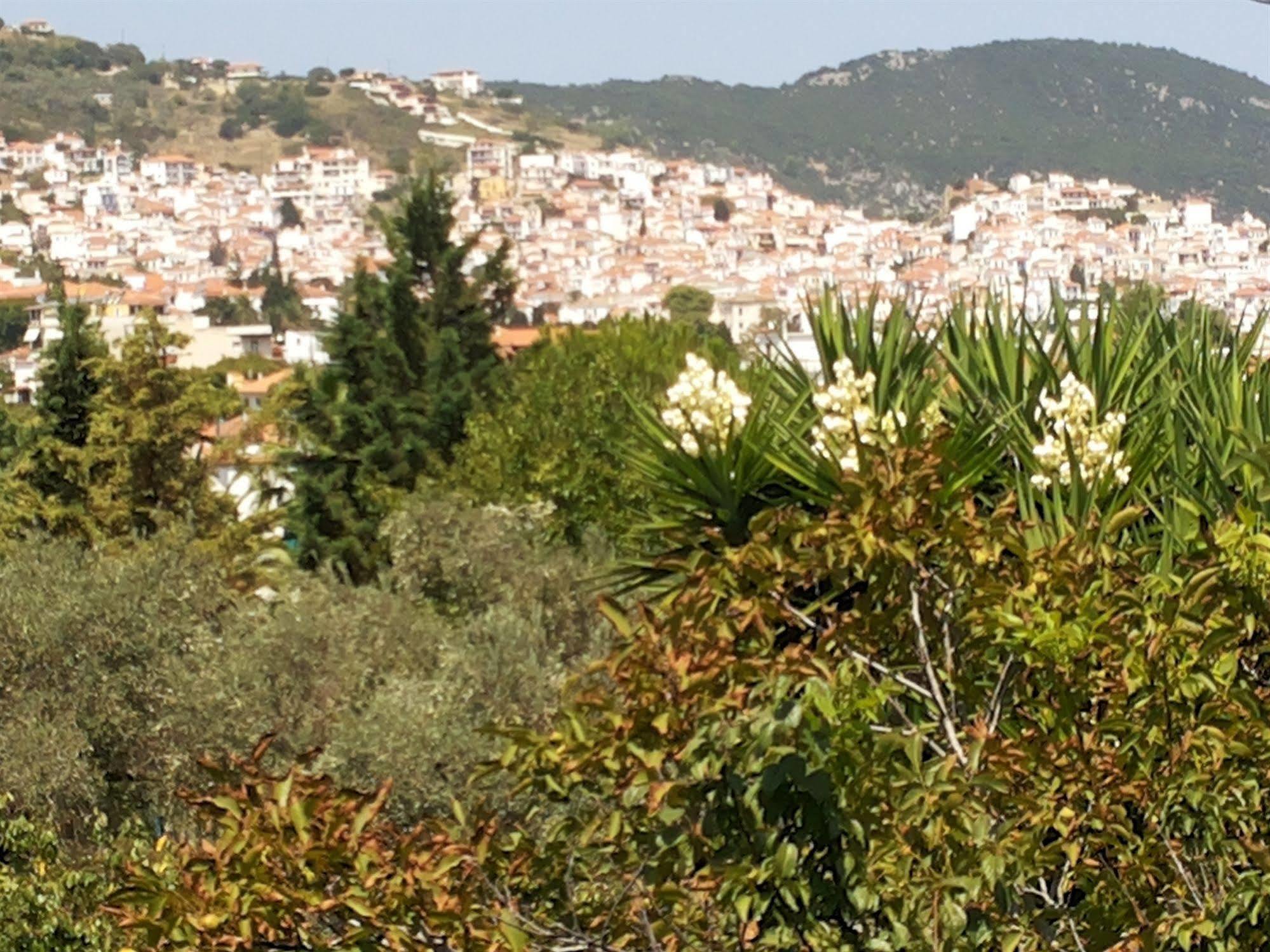 Rastoni Guest House Skopelos Экстерьер фото