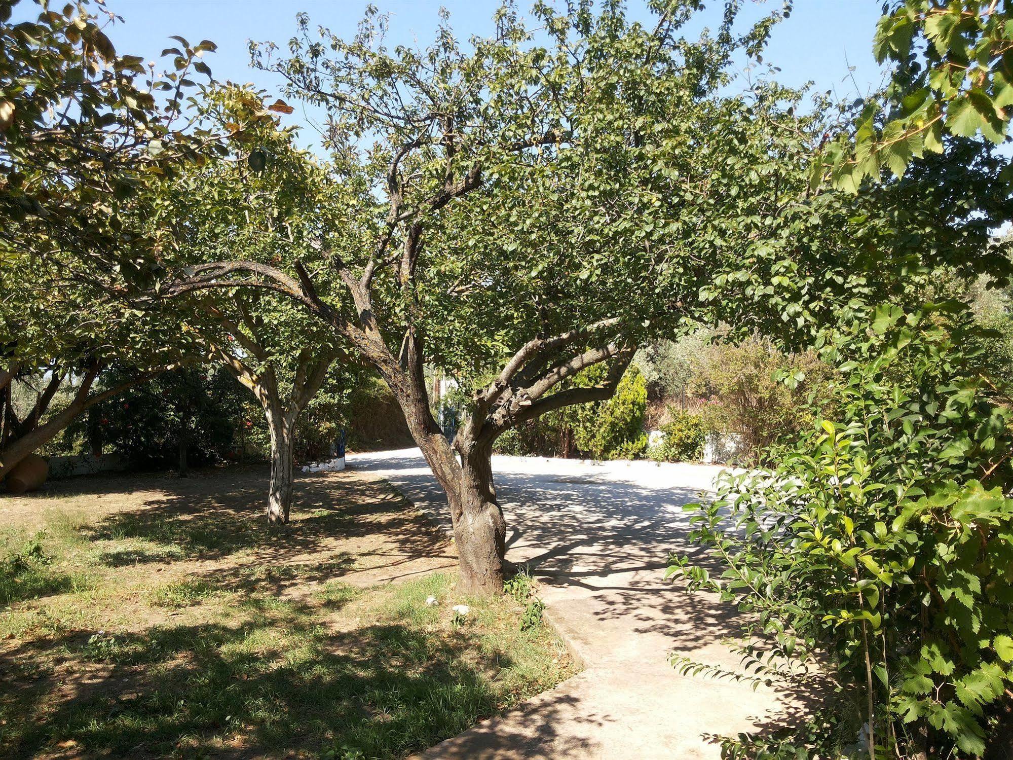 Rastoni Guest House Skopelos Экстерьер фото